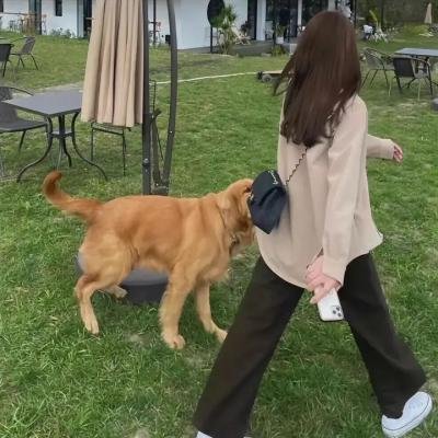 何者